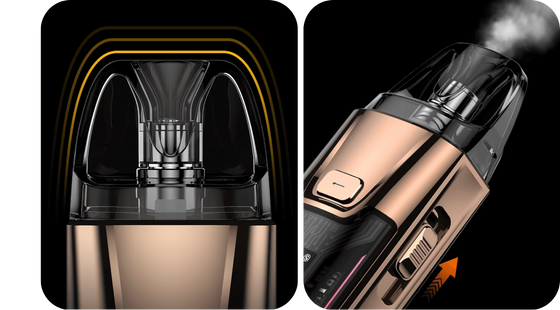 Cartouches Luxe XR Max 2